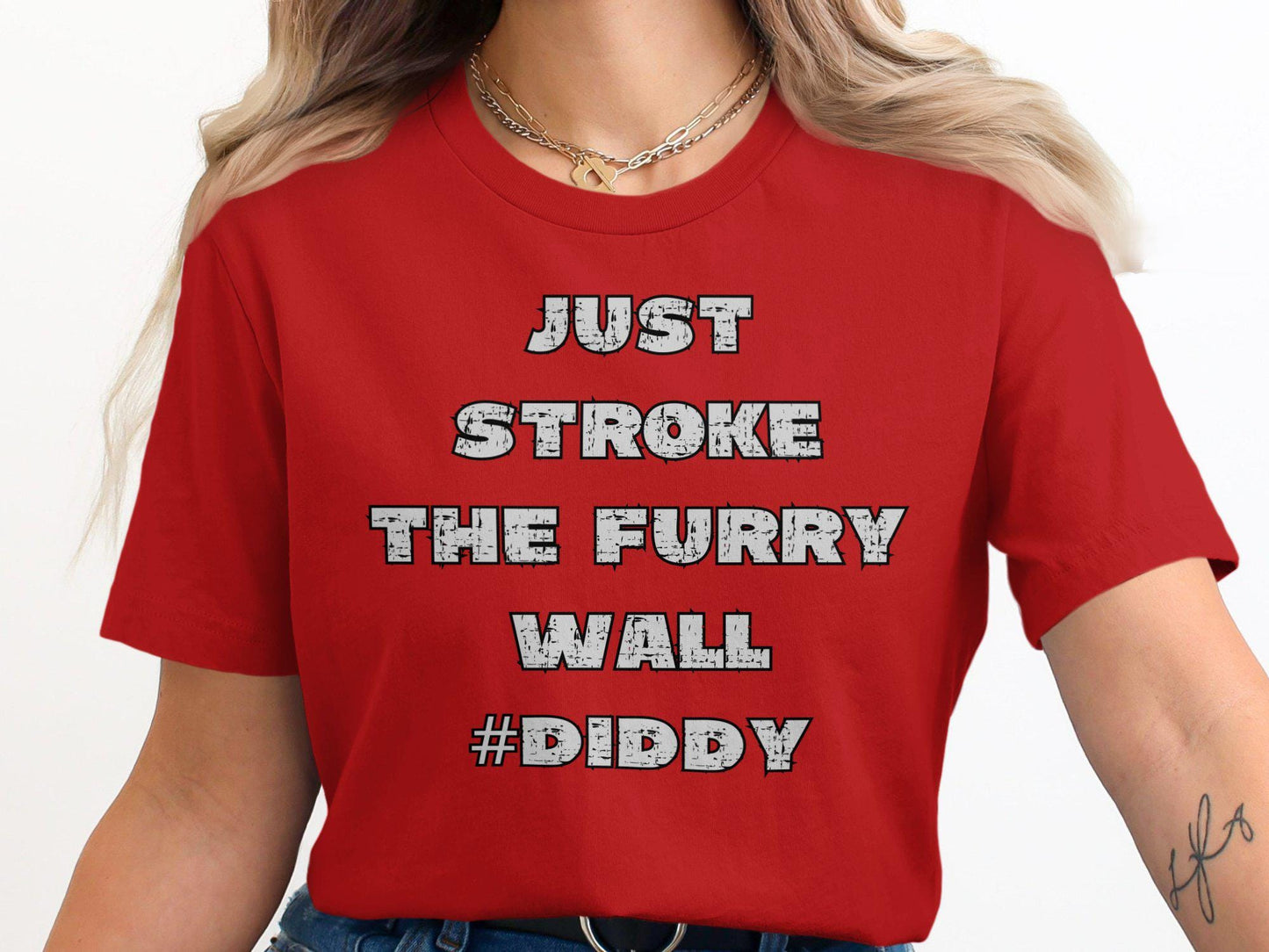 Just Stroke the Furry Wall Diddy T-Shirt, Funny T-Shirt, Graphic Tee, Cool T-Shirt for Casual Wear, Novelty T-Shirt, Trendy Design
