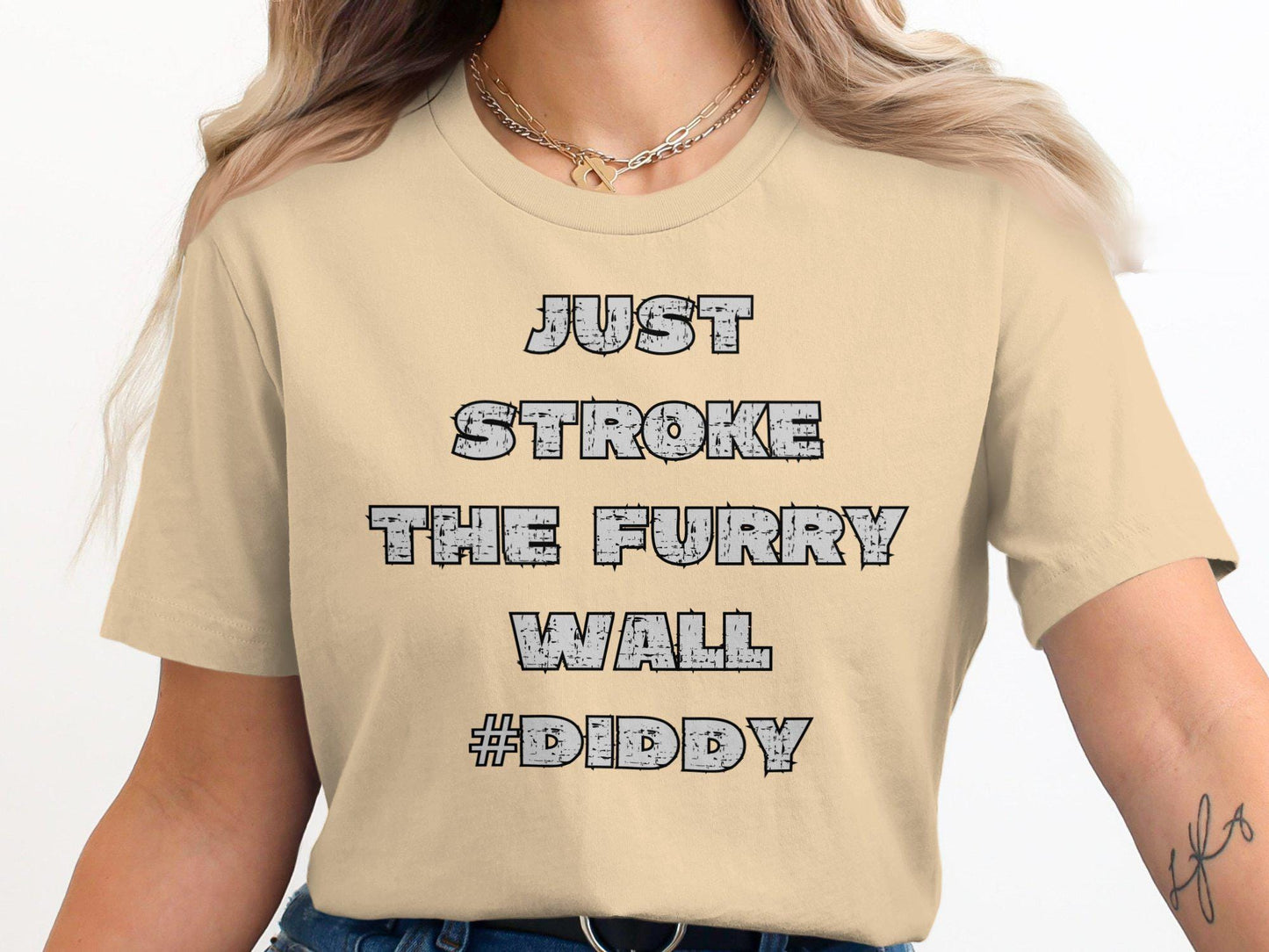 Just Stroke the Furry Wall Diddy T-Shirt, Funny T-Shirt, Graphic Tee, Cool T-Shirt for Casual Wear, Novelty T-Shirt, Trendy Design