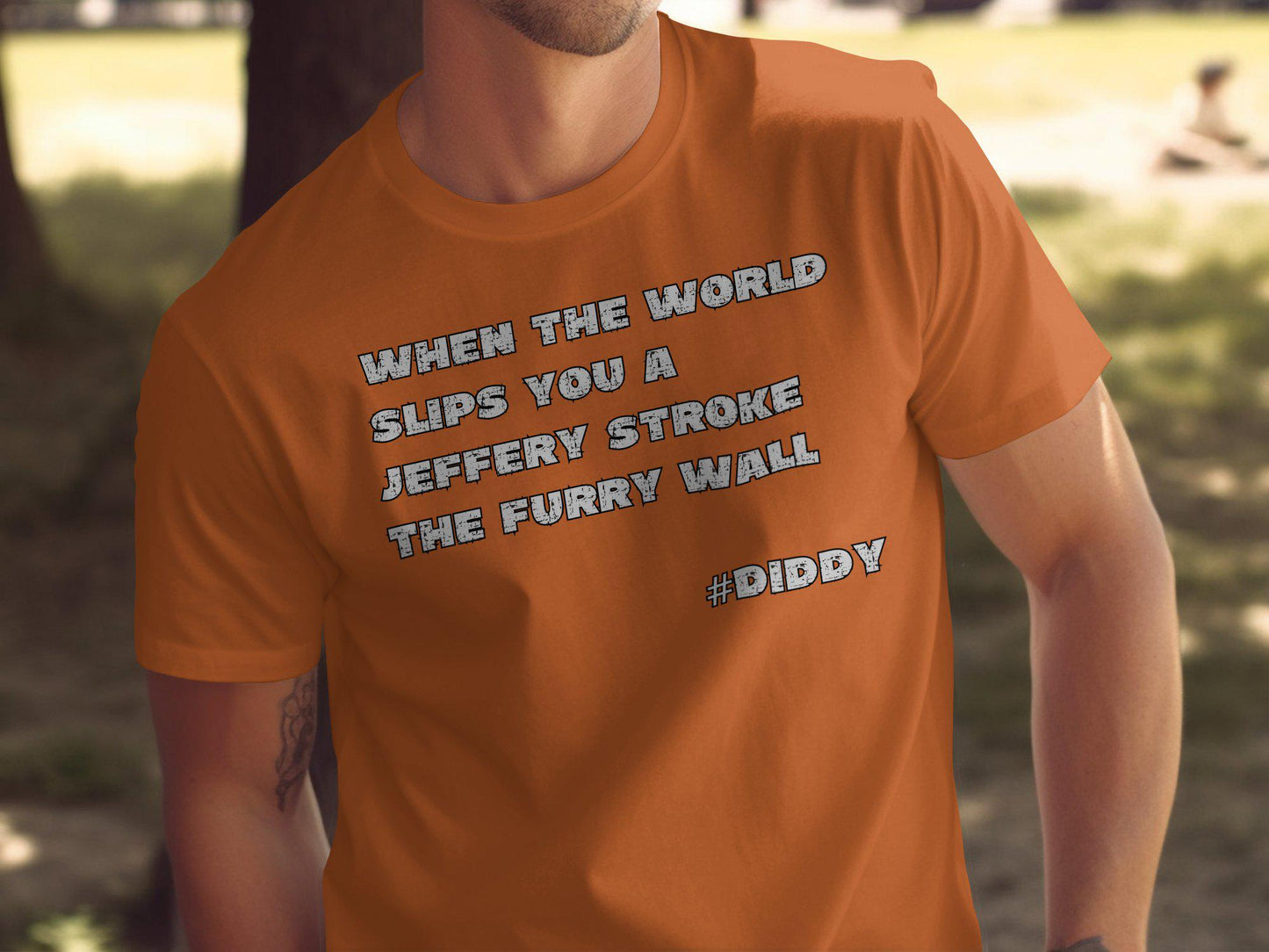 Diddy, Stroke the Furry Wall, Diddler T-shirt, Unique Statement Shirt, Inspirational Quote Top, Casual Wear, Jeffery Stroke Tee