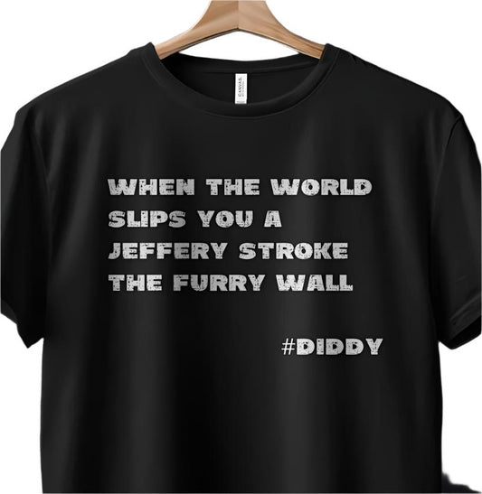 Diddy, Stroke the Furry Wall, Diddler T-shirt, Unique Statement Shirt, Inspirational Quote Top, Casual Wear, Jeffery Stroke Tee